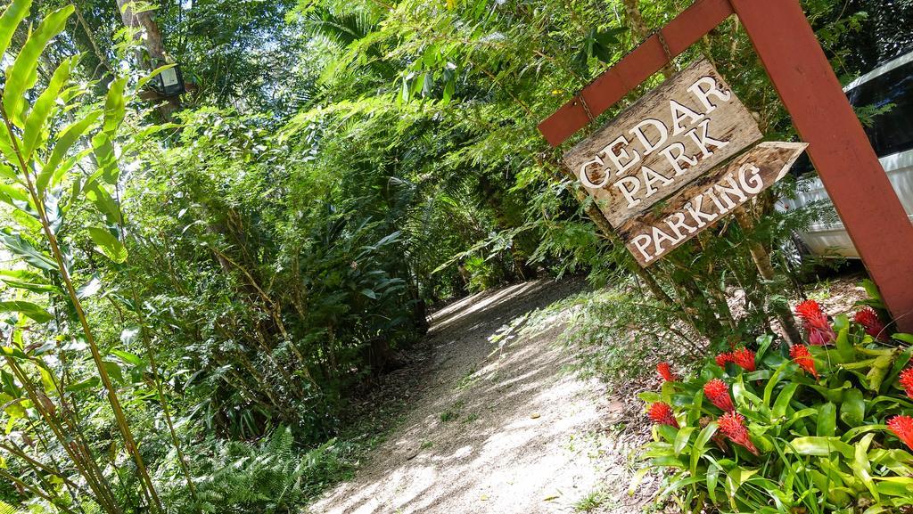 Cedar Park Rainforest Resort Koah Exterior foto