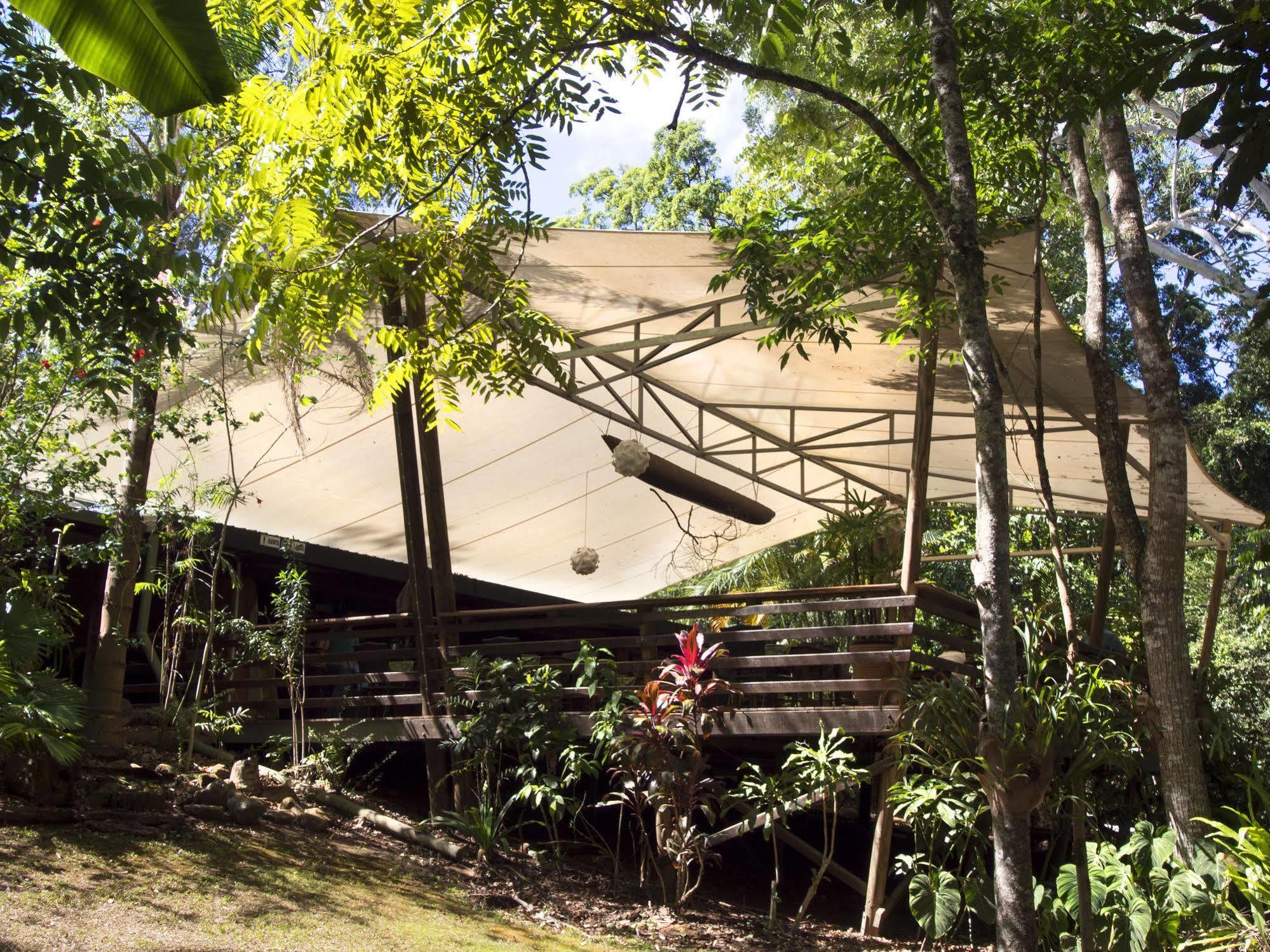 Cedar Park Rainforest Resort Koah Exterior foto